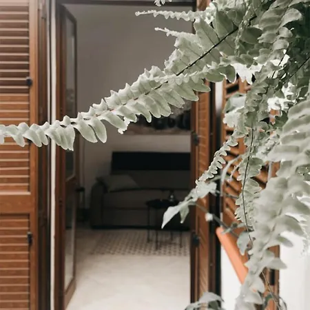 La Casa Di Maya דירה *